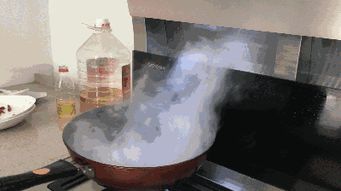 森歌集成灶萬人廠購節(jié),好產品經得起體驗